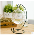 Яклухт Clear Glass Terrarium мудаввар бо Пойгоҳи ҳезум